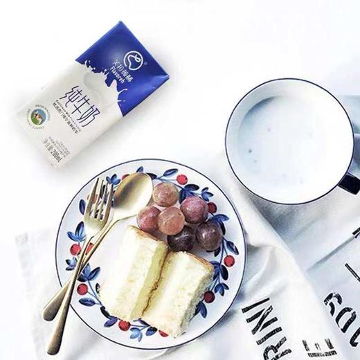 【百】新疆芙拉薇赫纯全脂纯牛奶200ml*16盒（保质期180天） 商品图1