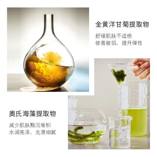 【两支更划算】欧佩二裂酵母走珠香体露60ml净味干爽清香爽身植物加持 商品图3