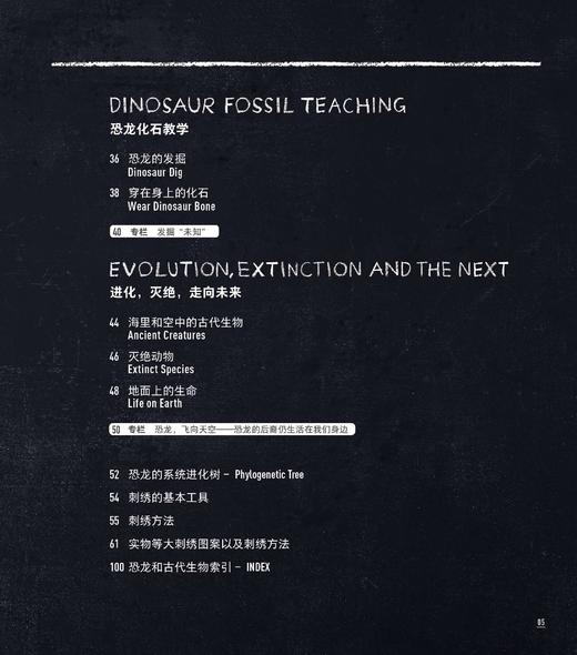 2020新书 恐龙刺绣 千叶美波子 可爱动物植物萌物手作刺绣编织手工DIY设计制作入门教程书 狗狗猫咪胸针装饰工具步骤详讲 钩针编织 商品图2