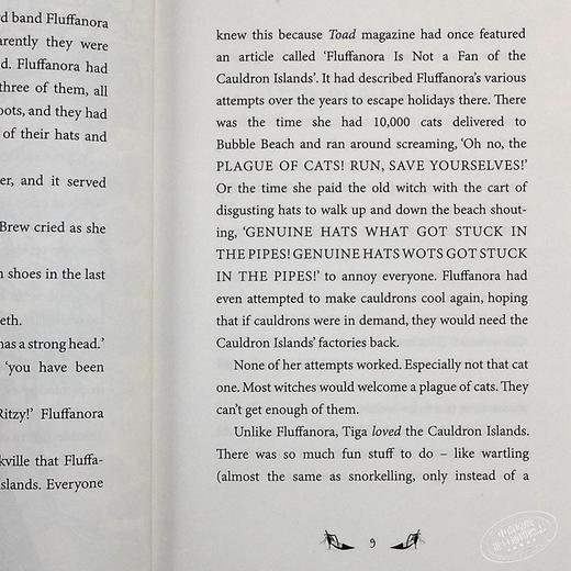 【中商原版】Witch Switch 女巫之战2 儿童初级章节书桥梁故事文学 英文原版 7岁及以上 商品图3