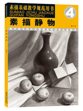 素描静物4/素描基础教学规范用书素描静物组合临摹书籍美术基础技法结构到位绘画册照片风暴高艺联考主导