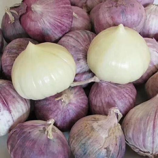 【云南紫皮独蒜】云南优质独头蒜，比一般蒜香3倍！引爆你的味蕾！ 商品图0