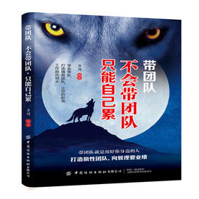 2019新书 带团队:不会带团队只能自己累 齐川 企业经营管理提升领导力教程 打造精英团队协作管理技巧 员工激励人际交往成功励志书