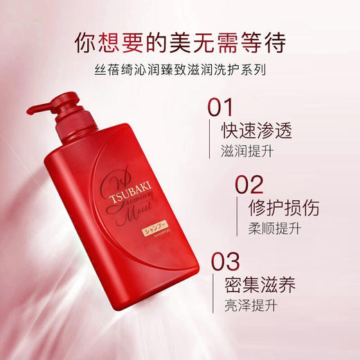 丝蓓绮沁润臻致洗发露/护发素490ml 柔顺滋润修护 112652/112653 商品图1