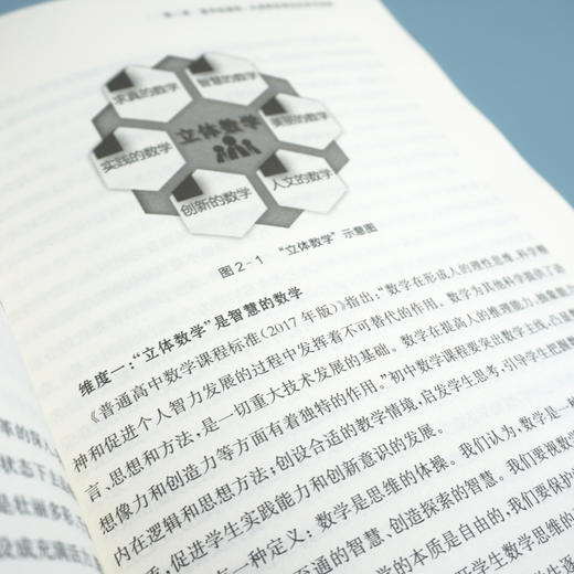 学校美育课程的立体建构 菁华园课程的逻辑与框架 特色学校建设丛书 费玉新著 杨四耕 学校课程教育研究 正版 华东师范大学出版社 商品图3
