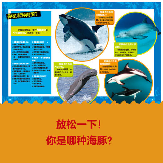美国国家地理 海豚（超级专家系列）海洋哺乳动物百科全书 3-6-8岁少儿探秘海底动物世界大百科 青少年儿童科普书籍 商品图3