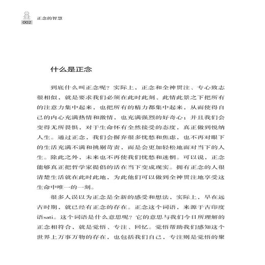 正版包邮 正念的智慧 蒋海 在遭遇困境的时候，更要整理自己的思绪，心怀正念，从而形成正向思维 力，也把人生活成自己想要的模样 商品图3