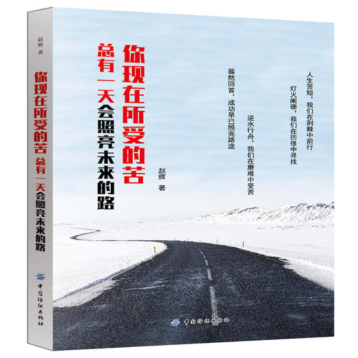 正版现货 你现在所受的苦总有一天会照亮未来的路 赵辉 著 心理学成功励志 青少年拼搏奋斗积累人生资本 心灵鸡汤励志文学 商品图0