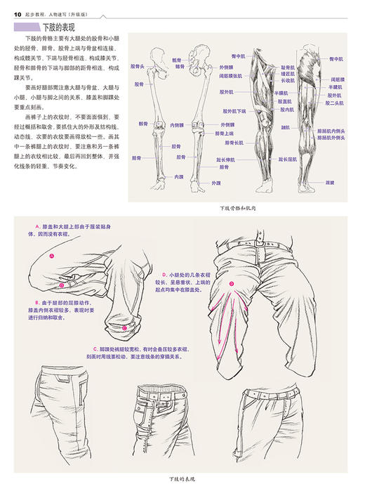 起步教程：人物速写（升级版） 速写人物头像入门教材 铅笔素描结构教学  素描书入门自学零基础 素描基础教程 商品图3