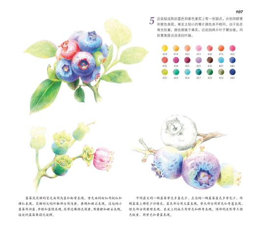 正版 色铅笔下的37种果实 十六糖 色铅笔技法绘画基础果实形态色彩色铅笔入门色铅笔爱好者绘画爱好者参考阅读用书 商品图2