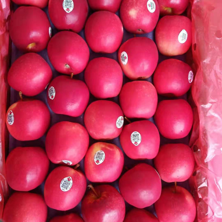 新西兰 进口红玫瑰苹果12颗装 约4斤装左右 口味偏甜,以独特的玫瑰