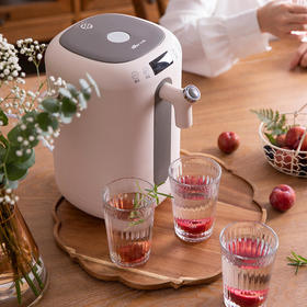 【小熊Bear】烧水壶电水壶热水壶恒温水壶电热水瓶电热防烫除氯304不锈钢3L大容量多段保温ZDH-H30B1