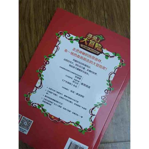 给孩子的博物科学漫画书·寻灵大冒险5·塔鲁曼之门 商品图4