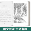 【2020新书】会走路的小树 金波 3-6岁小朋友童话故事书亲子阅读小学生课外阅读理解训练儿童读物经典故事书一二三年级课外阅读书 商品缩略图4
