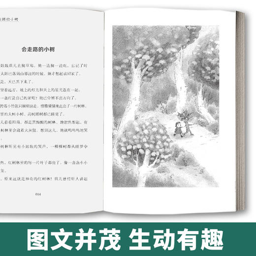 【2020新书】会走路的小树 金波 3-6岁小朋友童话故事书亲子阅读小学生课外阅读理解训练儿童读物经典故事书一二三年级课外阅读书 商品图4