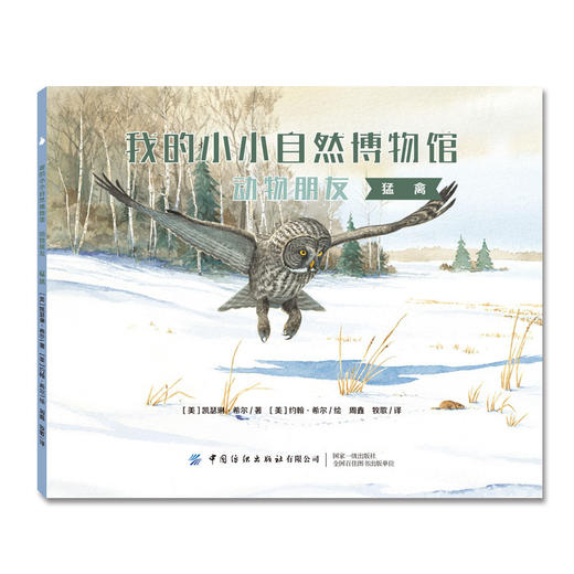 【新书上架】我的小小自然博物馆·动物朋友全8册 儿童课外读物 自然科普书 丰富孩子知识面 儿童趣味百科全书 动物绘本自然读物 商品图2