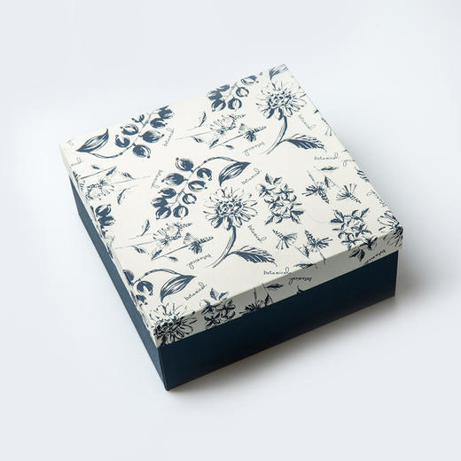 日本原产AITO Botamical美浓烧陶瓷餐盘餐碗碟子 6件套装 商品图2