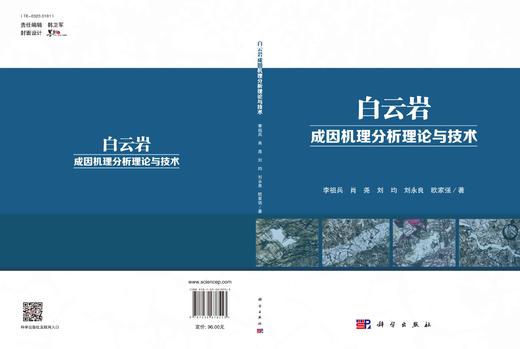 白云岩成因机理分析理论与技术/李祖兵 商品图3