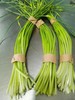 蒜苔（蒜苗）250g 商品缩略图3
