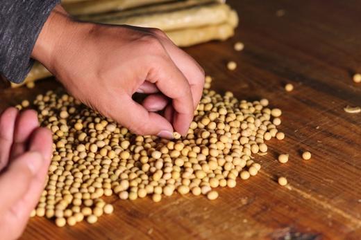 高蛋白 豆笋 纯手工制作干货可炒可拌方便速食 商品图2