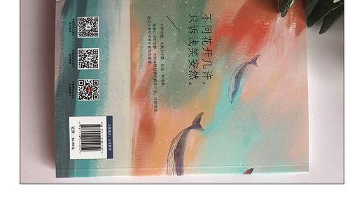 静下来，一切都会变好 心灵与修养书籍 心灵鸡汤青春文学小说书籍畅销书 控制情绪管理调整心态的书 做心平气和的自己 商品图4