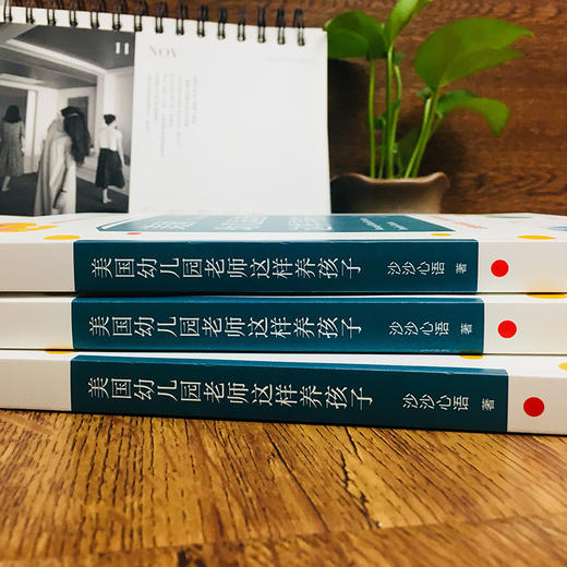 美国幼儿园老师这样养孩子 跟美国幼儿园老师学早教 国际视野妈妈的育儿手记 家庭教育正面管教好妈妈胜过好老师 如何说孩子才会听 商品图4