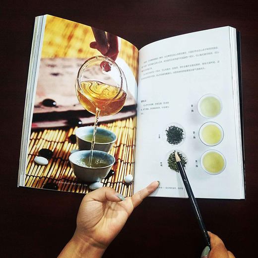 茶类书籍正版 从零开始学鉴茶泡茶赏茶 中国茶经茶叶书籍 茶道茶艺泡茶迷上普洱云南普洱 时尚生活茶文化基础入门知识大全茶的书籍 商品图3