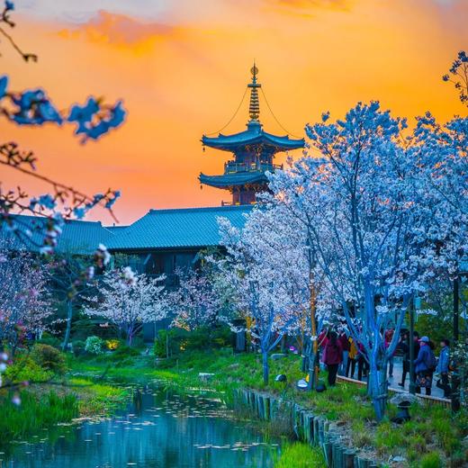 【聚会专享】无锡 | 无锡拈花湾拈花客栈禅意村舍聚会套餐，399起/单人2晚，2人起订，住宿景区内五星客栈，额外送拈花湾景区门票~ 商品图3