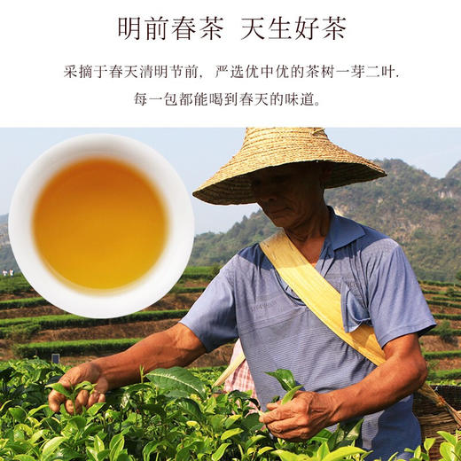 积庆里新茶春茶 红茶礼盒 英红九号 英德红茶 明前茶三月春150克 商品图4