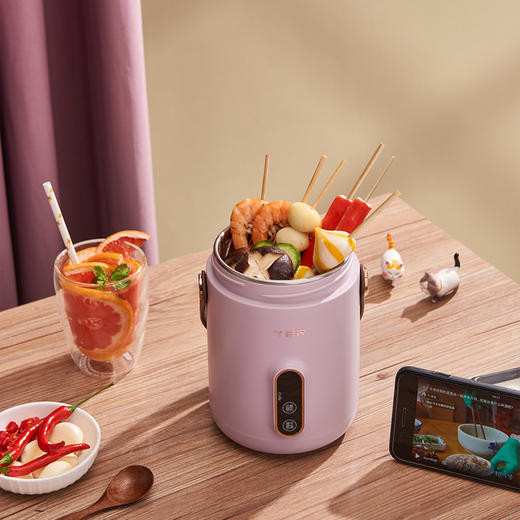 TER轻食锅1-2人小型迷你电炖锅小煮锅 商品图0