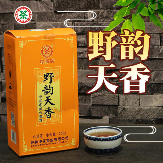 中茶六堡茶野韵天香广西梧州黑茶300g 商品图0