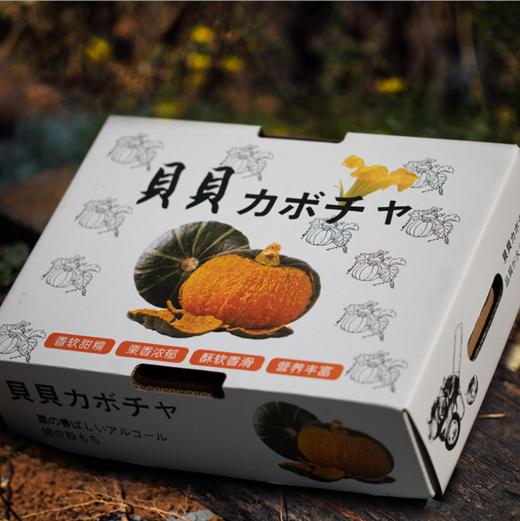 【贝贝小南瓜】味道粉糯清甜，板栗的香气和口感 商品图4