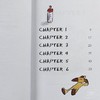 【中商原版】HUK Early Reader Slipcase(30books) 哈榭少儿早期阅读桥梁书30本彩色套装 儿童故事文学套装 英文原版 7-12岁 商品缩略图3