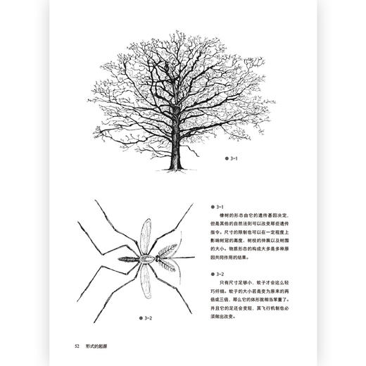 后浪正版 形式的起源 自然造物和人类造物的设计法则一起探究自然物和人造物的形式是什么样和为何这样的设计类书籍 商品图2