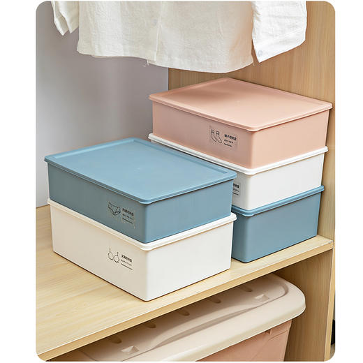 百纳邦首内衣收纳盒3600 商品图3