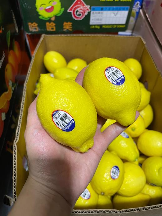 进口柠檬 商品图0