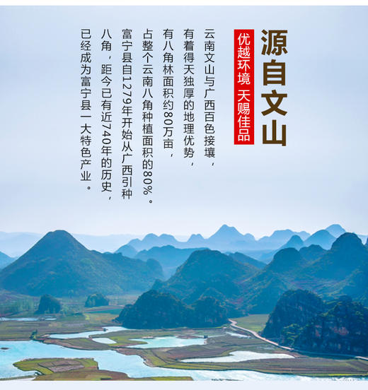 有机云南八角大料茴香精选调料100g厨房烹饪香辛料卤料 商品图3