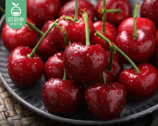 大连美早樱桃/1份（250g±10g，单个12-15g） 商品图2