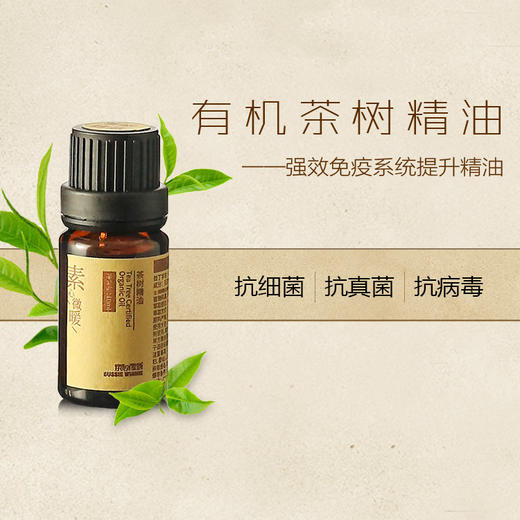 有机茶树精油10ml 商品图1