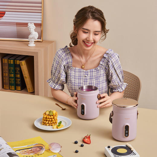 TER轻食锅1-2人小型迷你电炖锅小煮锅 商品图5