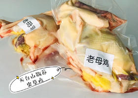 5A景区天台山虫草母鸡，高山农林散养，虫草鸡，泉水鸡，杀好后真空装（内脏在）