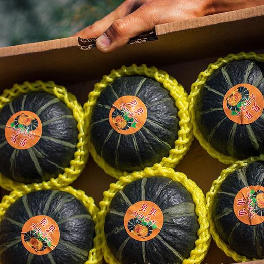 【贝贝小南瓜】味道粉糯清甜，板栗的香气和口感 商品图3