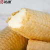 【包邮套餐】祐康经典玉米香玉米味雪糕50g*30支 商品缩略图3