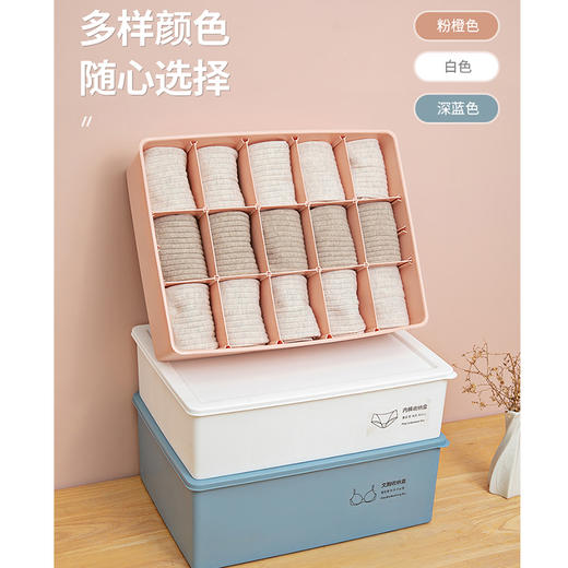 百纳邦首内衣收纳盒3600 商品图2