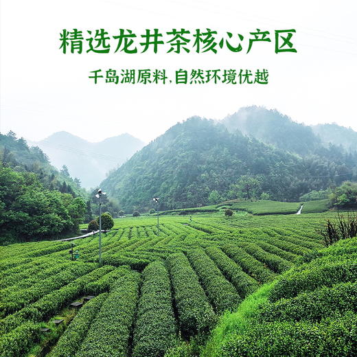 2025新茶·龙冠龙井【金碗钉·G50】纯茶礼盒 200g 商品图4