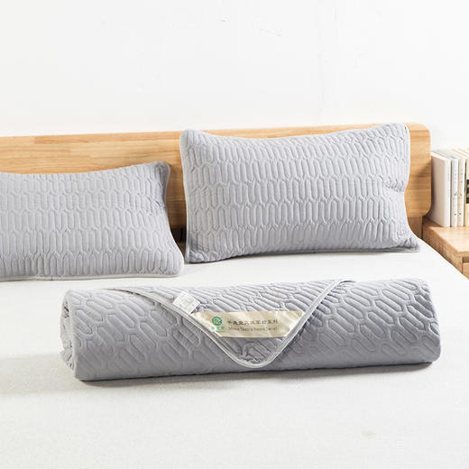 平直堂·艾绒逐湿寒养身床垫，睡着甩走老寒湿，身子骨越睡越好，不可水洗 商品图5