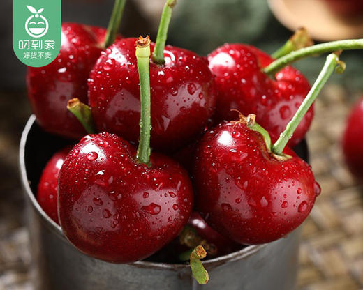 大连美早樱桃/1份（250g±10g，单个12-15g） 商品图4