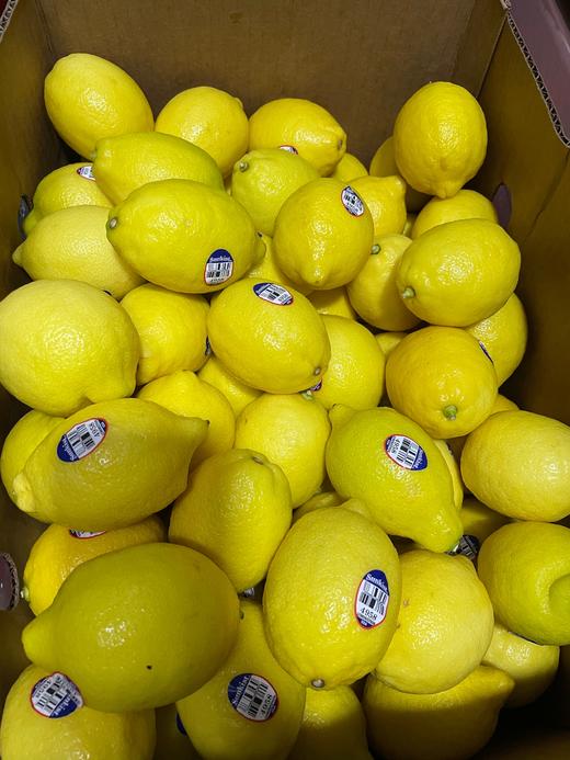 进口柠檬 商品图1