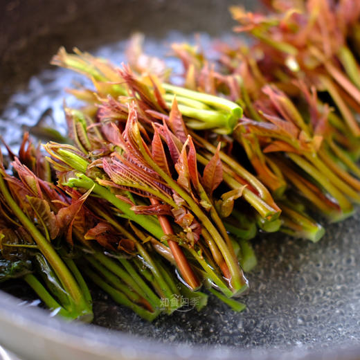 秦岭华州红油香椿 千年贡品级野味 芽叶细嫩 梗鲜肥 香味浓郁 商品图0