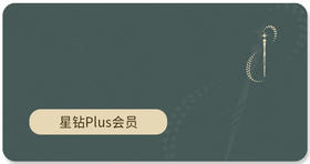 星钻Plus会员